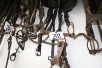 2 - show bridles