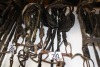 2 - show bridles - 2