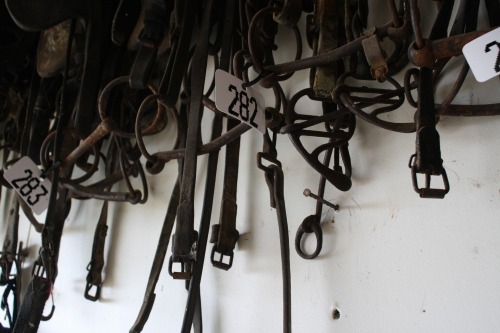 4 - assorted bridles