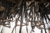 4 - assorted bridles - 2