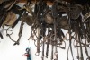 4-5 assorted bridles - 2