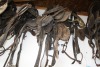 4-5 assorted bridles - 2
