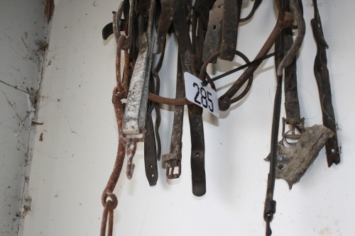 6-7 assorted bridles