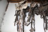 6-7 assorted bridles - 2