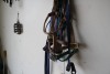 3 nylon halters