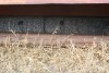 755 tow behind crimper - 2
