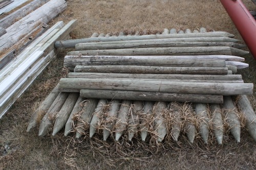 Approx. 30 sharpened 3" - 4" posts