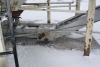 Ramboc 24" under bin conveyor - 7