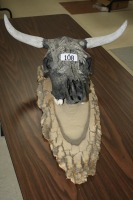 T108 - Cow skull wall mount