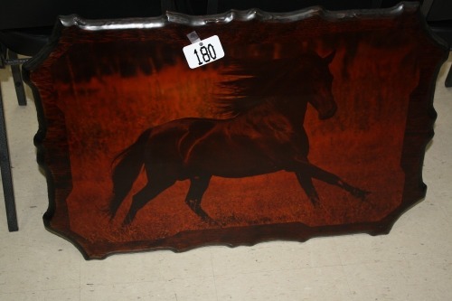 T180-horse picture