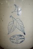 T194-"Redwing" 4 gal crock, good condition - 3