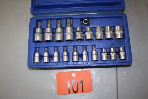 WESTWARD TORX SET 3/8" DRIVE