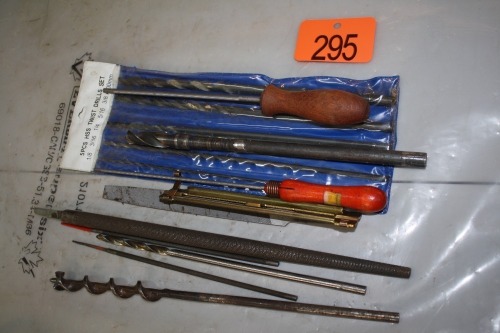 ASSORTMENT OF WOOD BITS & FILES