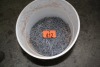 1 1/4" FINISHING NAILS - 1/2 PAIL
