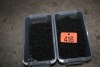 QUANTITY OF 2" & 1 1/4" GYPROCK SCREWS