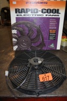 RAPID COOL ELECTRIC FAN