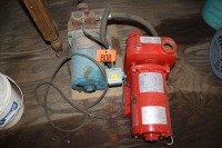 RED LION & MCLEODS PUMPS