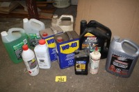 WD 40, ANTI FREEZE, WINDSHIELD WASHER, 10/30 OIL, MOOVIT