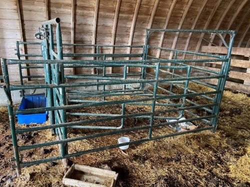 HI HOG MATERNITY PEN W/ SELFCATCH HEADGATE (EXCELLENT CONDITION)