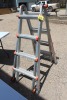 LITTLE GIANT LADDER SYSTEM