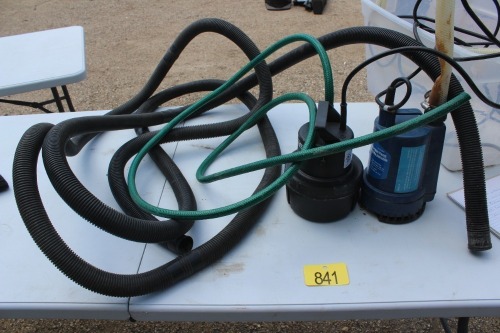 2 - SUBMERSIBLE PUMPS W/ HOSE