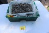 BUCKET OF ASSORTED NAILS